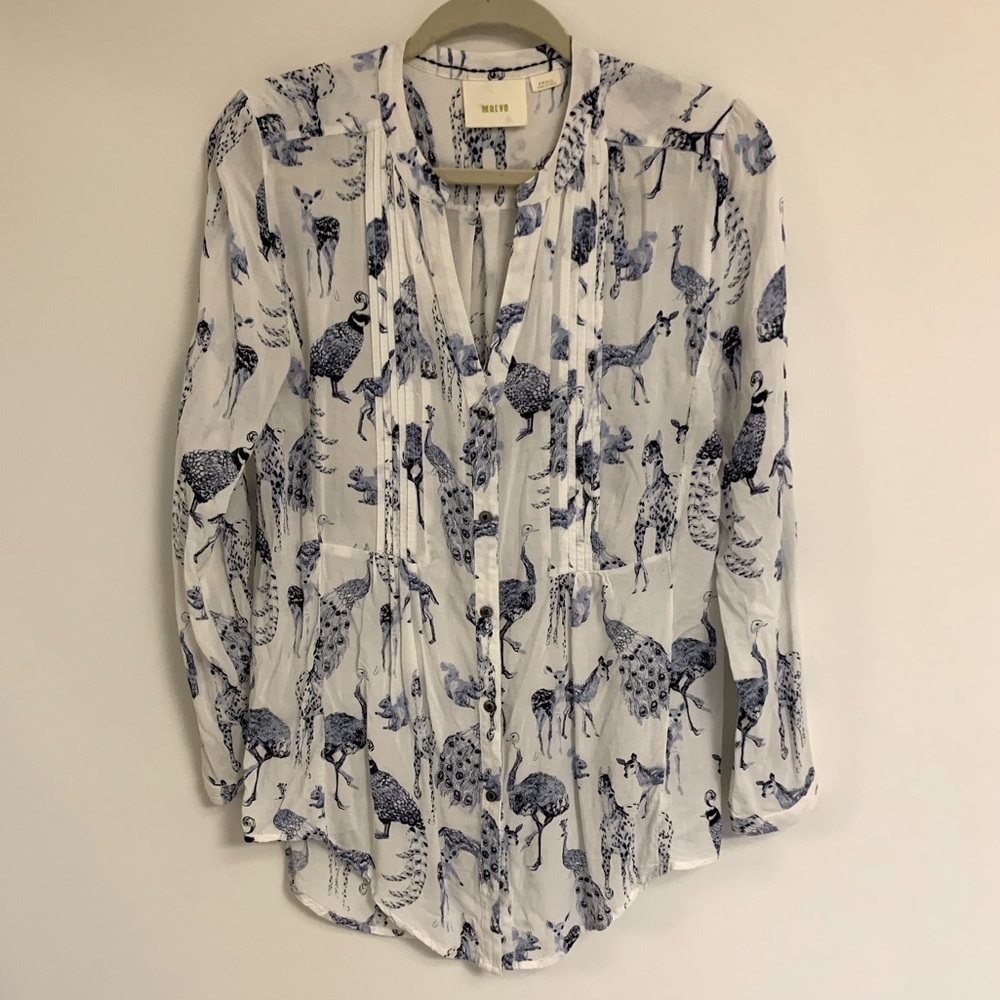 Button Down